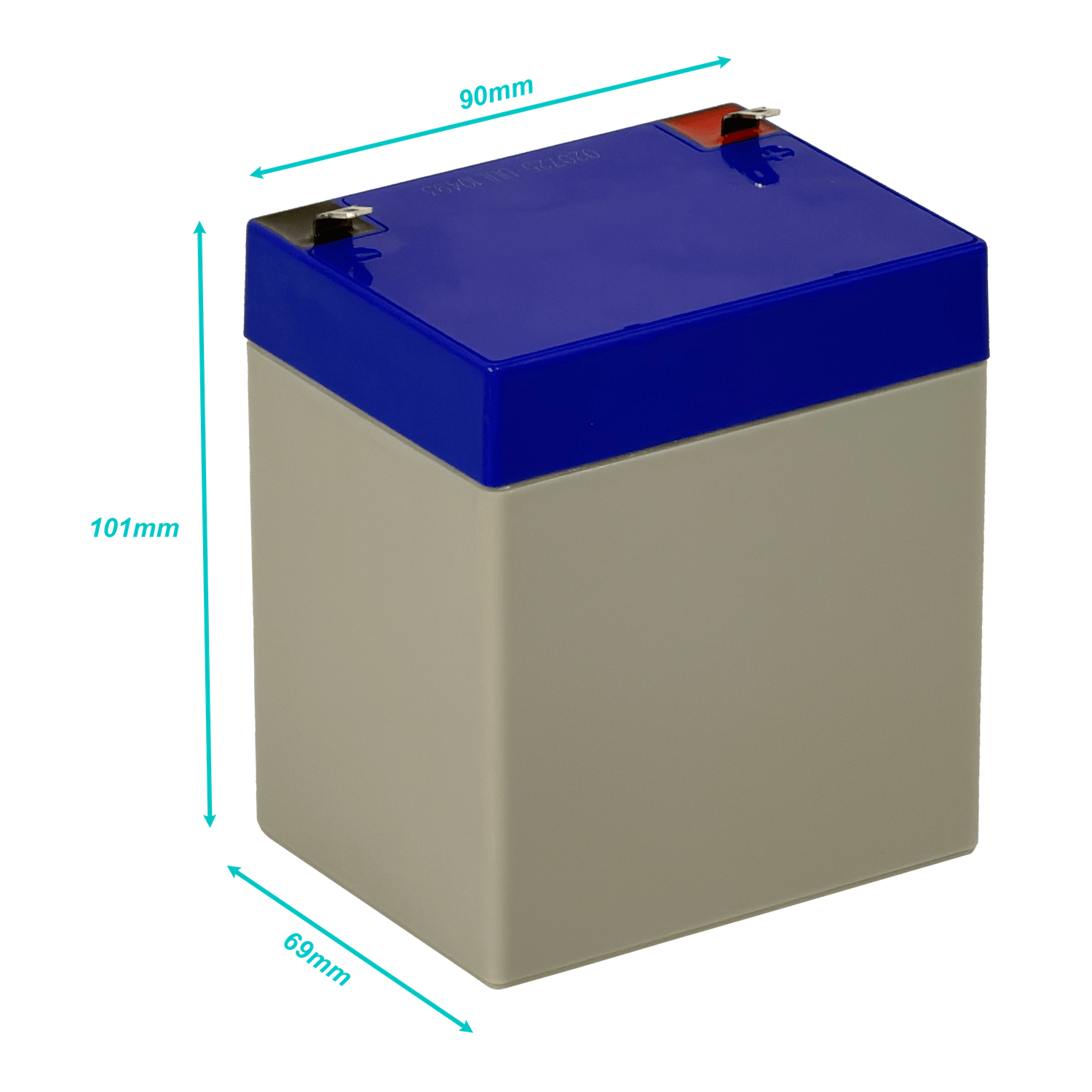 Miniatura